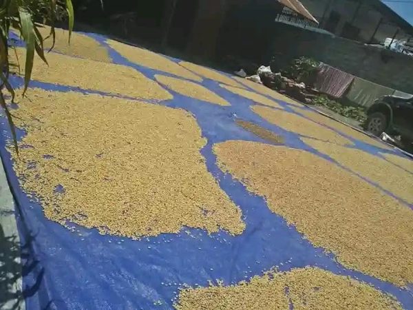 463424352_122157835154264349_695729959981526700_n 463424352_122157835154264349_695729959981526700_n